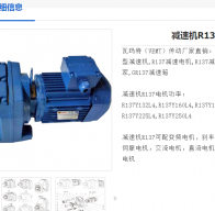 減速電機(jī)R137-5.15-55KW-M1型號解析